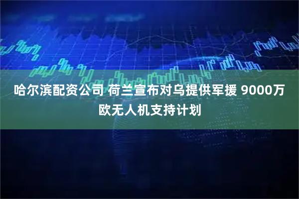 哈尔滨配资公司 荷兰宣布对乌提供军援 9000万欧无人机支持计划