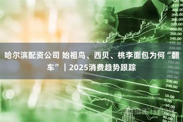 哈尔滨配资公司 始祖鸟、西贝、桃李面包为何“翻车”｜2025消费趋势跟踪