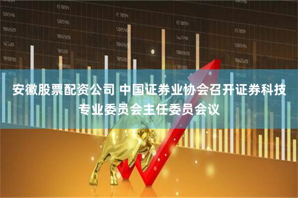 安徽股票配资公司 中国证券业协会召开证券科技专业委员会主任委员会议