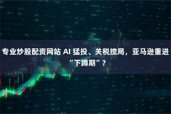 专业炒股配资网站 AI 猛投、关税搅局，亚马逊重进 “下蹲期”？