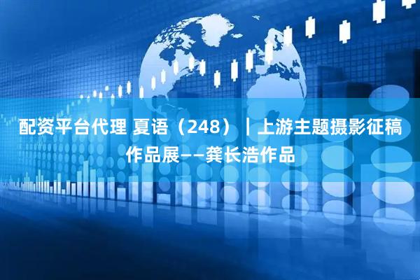 配资平台代理 夏语（248）｜上游主题摄影征稿作品展——龚长浩作品