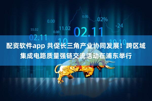 配资软件app 共促长三角产业协同发展！跨区域集成电路质量强链交流活动在浦东举行